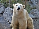 八木山動物公園フジサキの杜