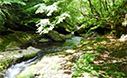 二口（ふたくち）峡谷