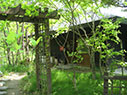 Gallery　石神窯